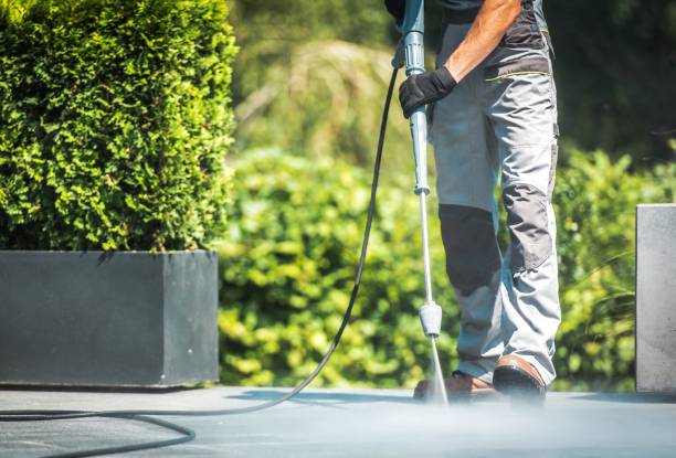Best Dumpster Area Cleaning  in Bloomfield, MO