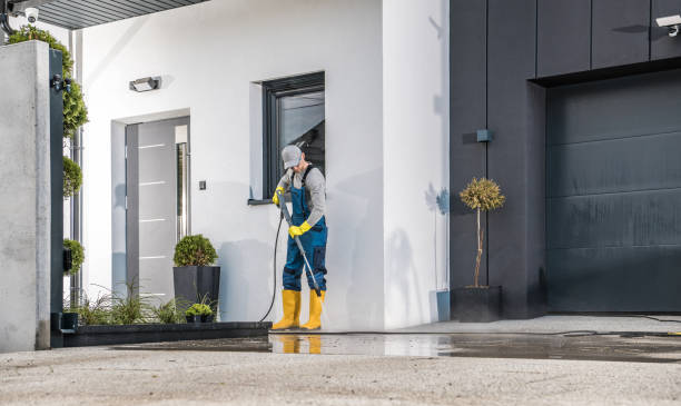 Best Roof Washing  in Bloomfield, MO